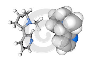 Molecular structure of nicotine. Atoms are represented as spheres with conventional color coding