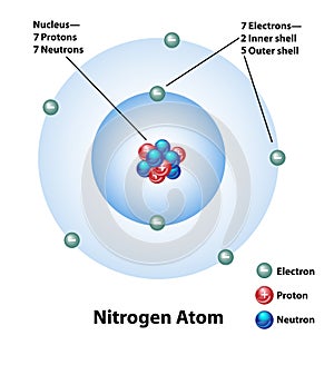 Molecular Structure of a Nitrogen Atom