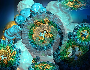 Molecular structure of protein Hemocyanin