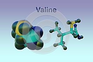 Molecular structure of valine, an essential amino acid used in the biosynthesis of proteins. Scientific background. 3d