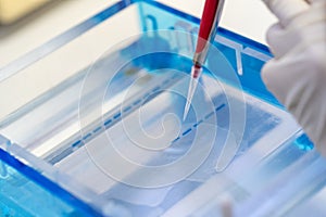 Molecular technique gel electrophoresis for DNA sample method decrypt the genetic code