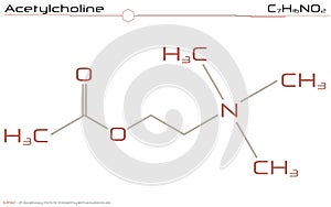 Molecule of Acetylcholine