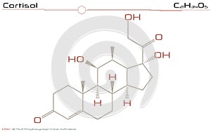 Molecule of Cortisol