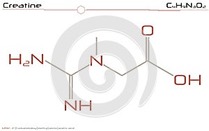 Molecule of Creatine