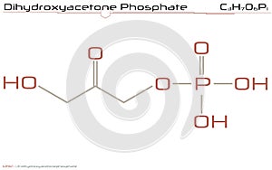 Molecule of Dihydroxyacetone phosphate