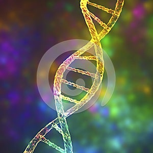 Molecule of DNA, double helix, 3D illustration photo