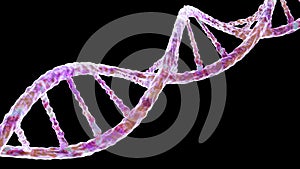 Molecule of DNA, double helix, 3D illustration photo