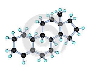 Molecule Estrogen 3D
