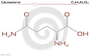 Molecule of Glutamine