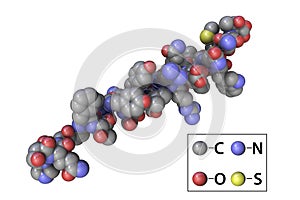 Molecule of the human hormone glucagon