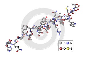 Molecule of the human hormone glucagon