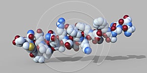 Molecule of the human hormone glucagon