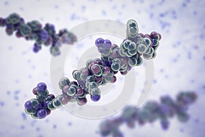 Molecule of the human hormone glucagon