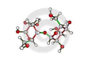 The molecule of lactose (milk sugar)