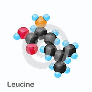 Molecule of Leucine, Leu, an amino acid used in the biosynthesis of proteins