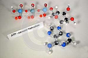 Molecule model of ATP, Adenosine Triphosphate. photo