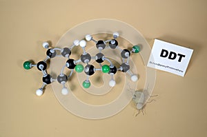 Molecule model of DDT - Dichlorodiphenyltrichloroethan with illustrative dead bug.