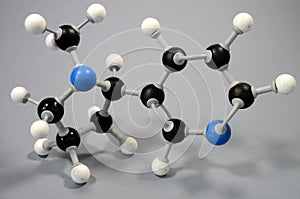 Molecule model of Nicotine