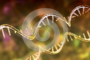 Molecule of mRNA, 3D illustration