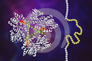 Molecule of the mutant Huntingtin protein, mHtt, the cause of Huntington's disease, 3D illustration