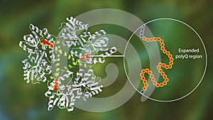 Molecule of the mutant Huntingtin protein, mHtt, the cause of Huntington's disease, 3D illustration