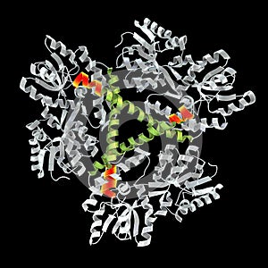 Molecule of the mutated Huntingtin protein, mHtt, the cause of Huntington's disease, 3D illustration photo