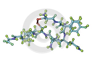 Molecule of oxytocin, a hormone released from the neurohypophysis