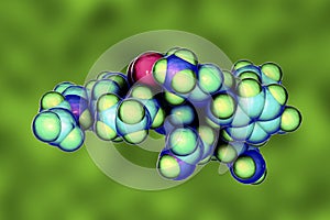 Molecule of oxytocin, a hormone released from the neurohypophysis