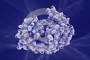 Molecule of pepsin stomach enzyme