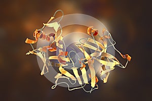 Molecule of pepsin stomach enzyme