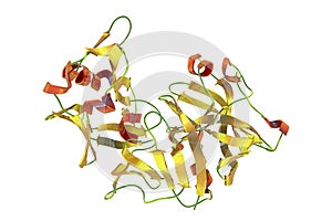 Molecule of pepsin stomach enzyme photo