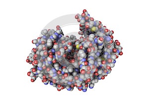 Molecule of pepsin stomach enzyme photo