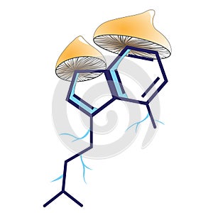 Molecule of psychotropic substance psilocybin and several fungi photo