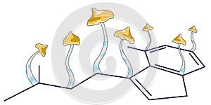 Molecule of psychotropic substance psilocybin and several fungi photo