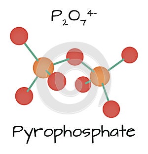Molecule Pyrophosphate in vector