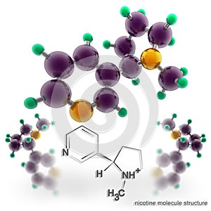 Molecule structure of nicotine