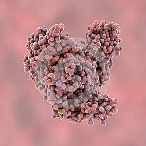 Molecule of tetanus neurotoxin, 3D illustration