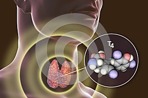 Molecule of thyroid hormone T4