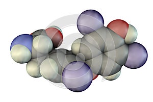 Molecule of thyroxine, a thyroid hormone