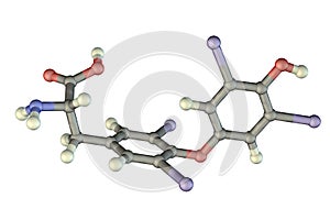 Molecule of thyroxine, a thyroid hormone