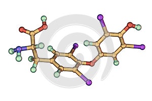 Molecule of thyroxine, a thyroid hormone