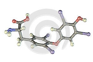 Molecule of thyroxine, a thyroid hormone photo