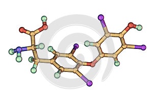 Molecule of thyroxine, a thyroid hormone photo
