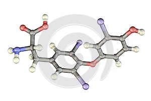 Molecule of triiodothyronine, a thyroid hormone