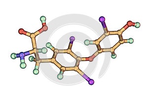 Molecule of triiodothyronine, a thyroid hormone