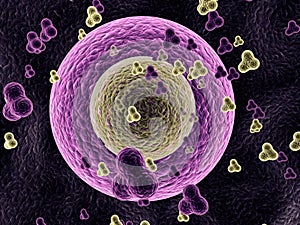 Molecules and bacterias