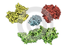 Molecules of different shapes isolated on white background