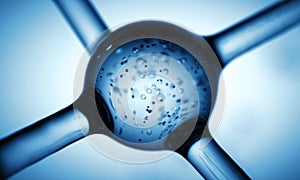 Molecules structure with trapped droplets template