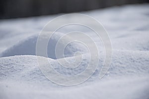 Molehill covered with fresh snow