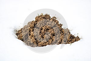 Molehill in the Snow